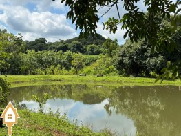 vende-se-chacara-sitios-rural-uberaba-135510