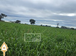 vende-se-chacara-sitios-fazenda-rural-uberaba-140755