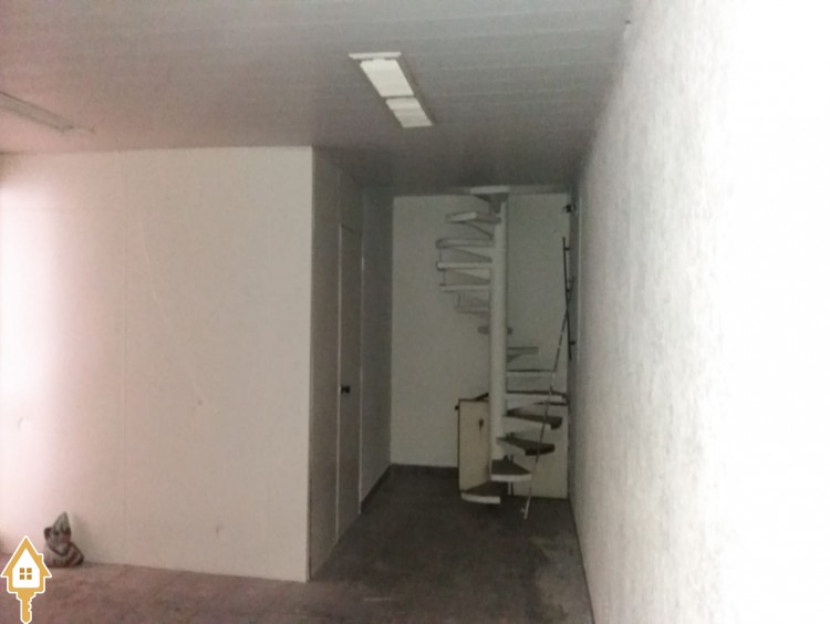 Fotos