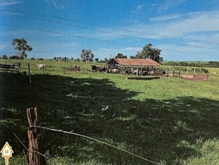 Fotos