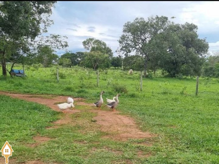 Fotos