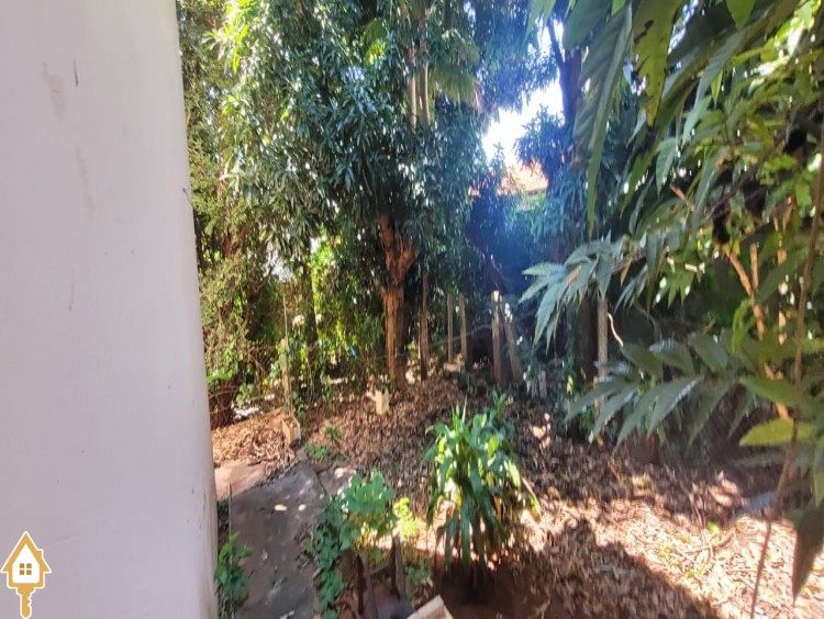 Fotos