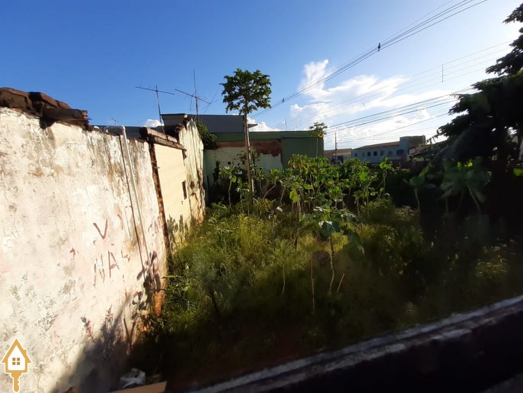 Fotos