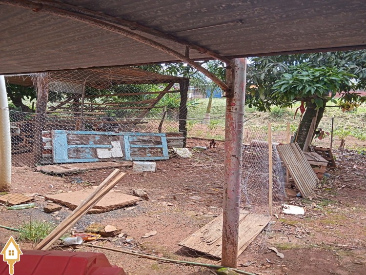 Fotos