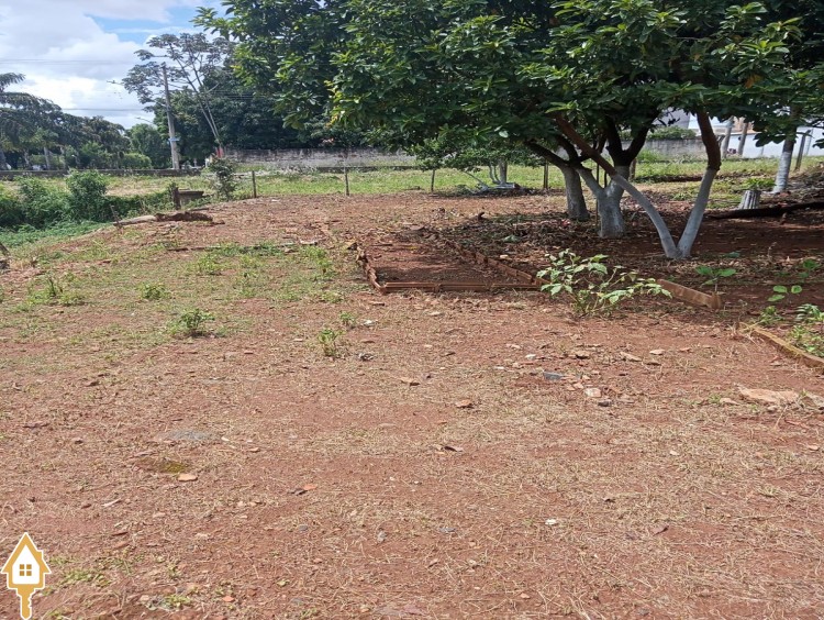 Fotos
