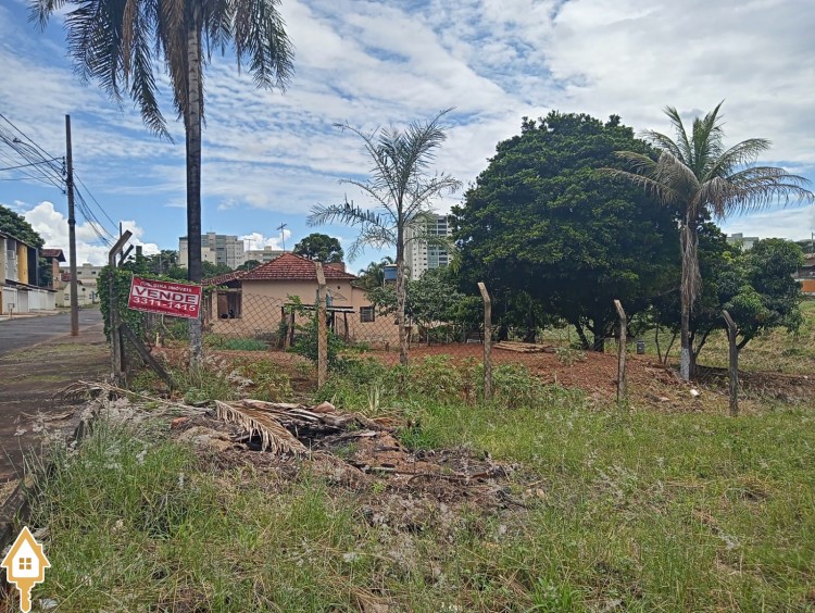 Fotos