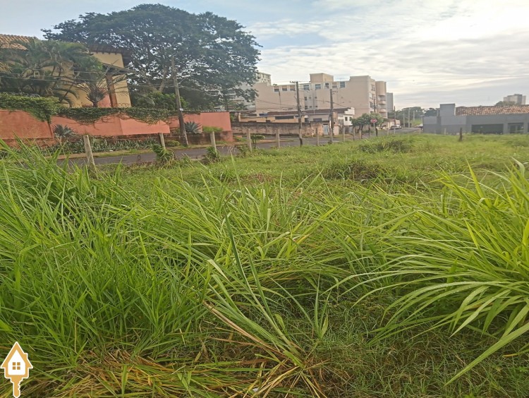 Fotos