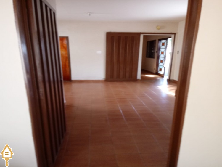 Fotos
