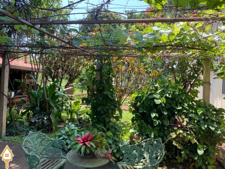 Fotos