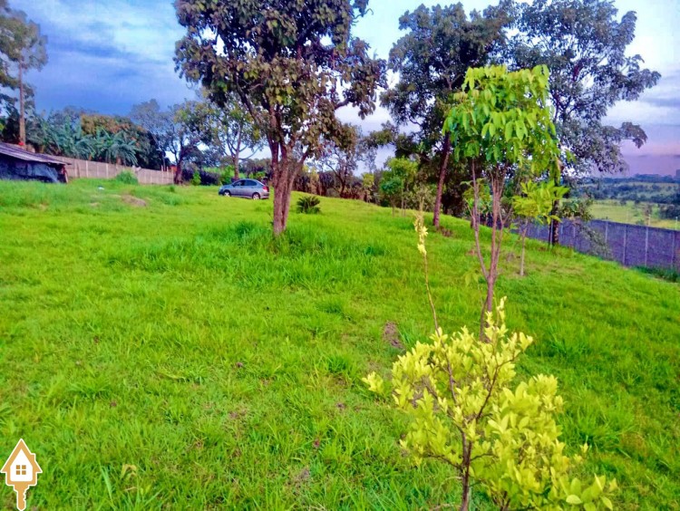 Fotos