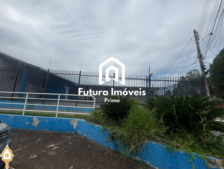 Fotos