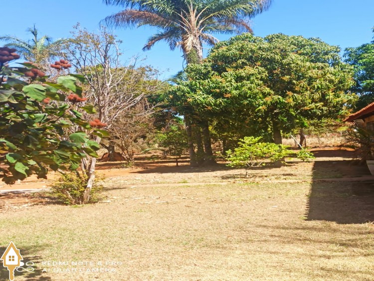 Fotos