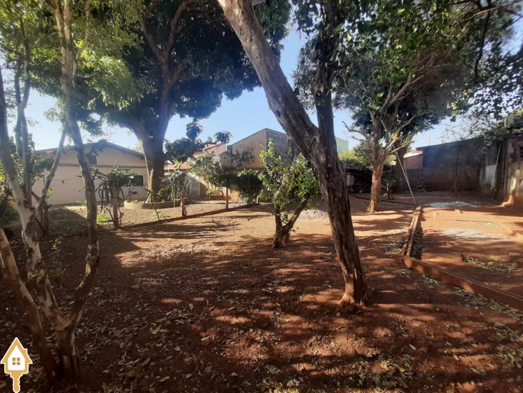 Fotos