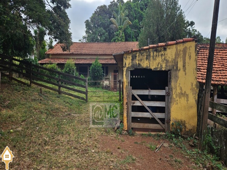 Fotos