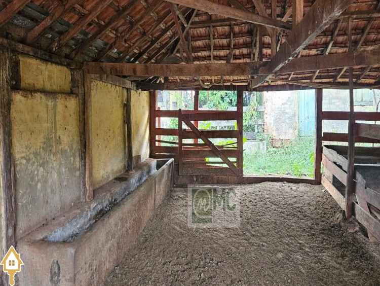 Fotos