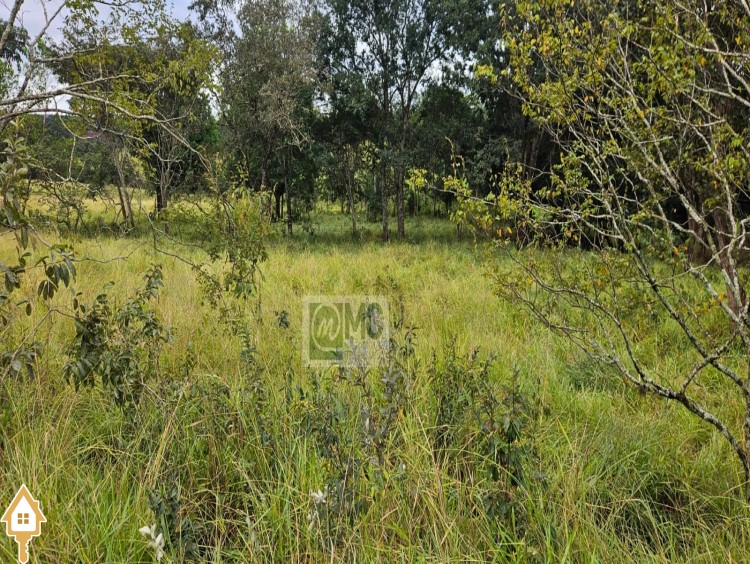 Fotos