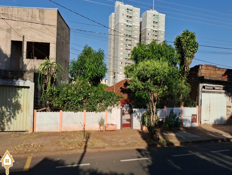 Fotos