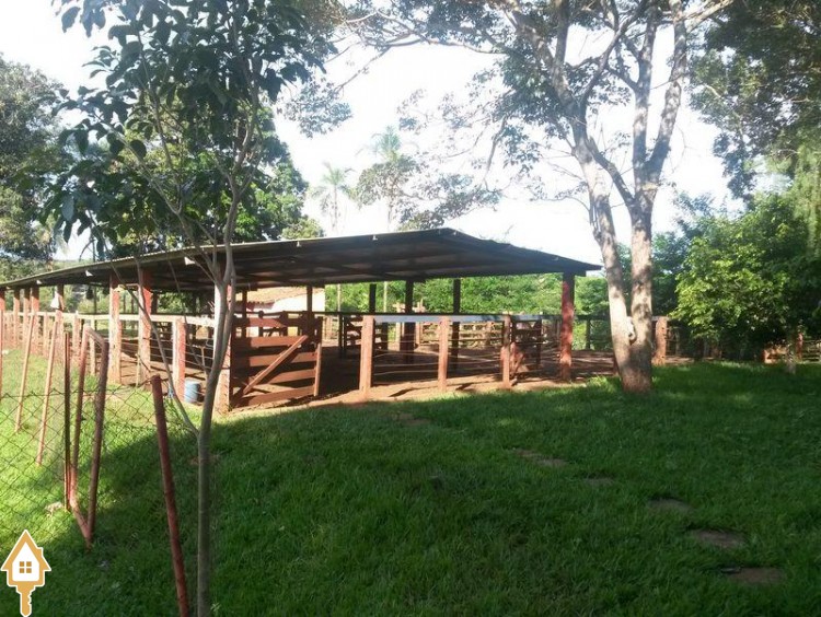 Fotos