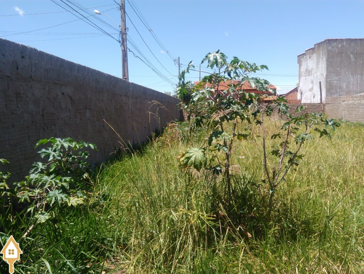 Fotos