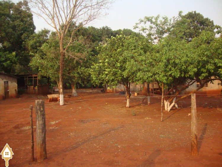 Fotos