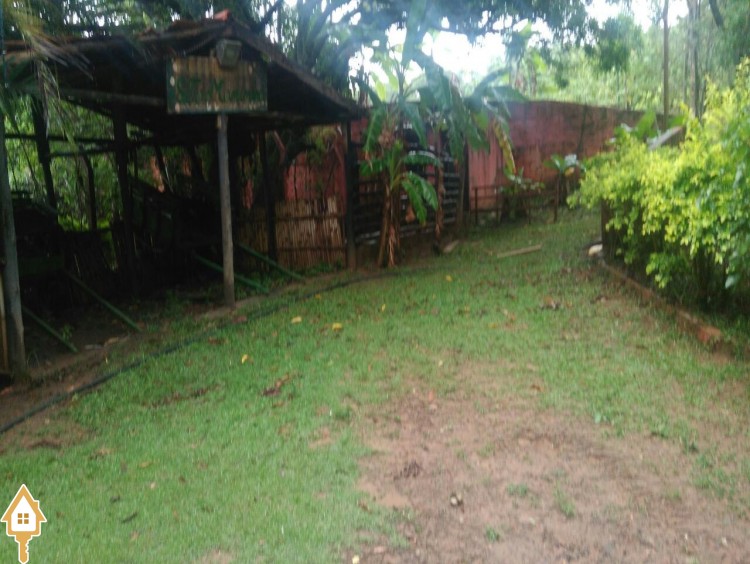 Fotos
