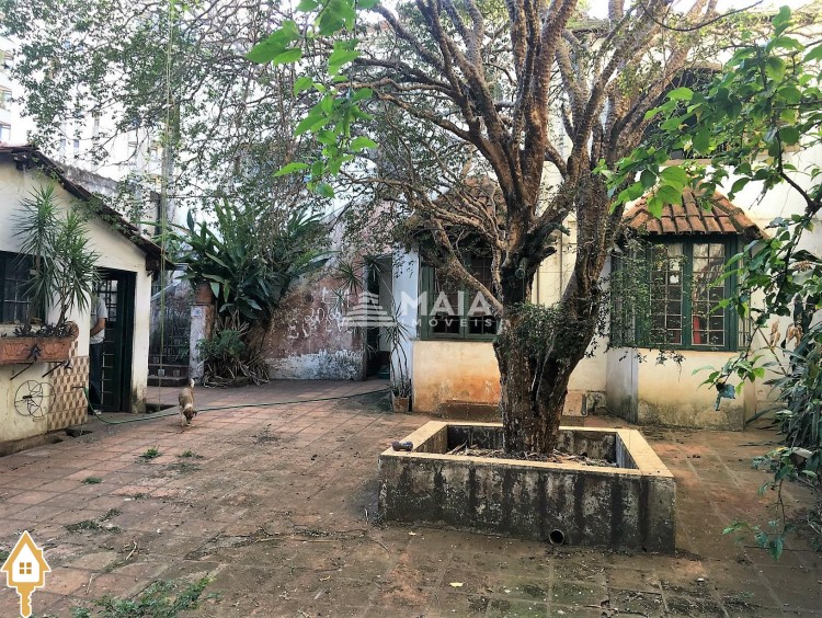 Fotos