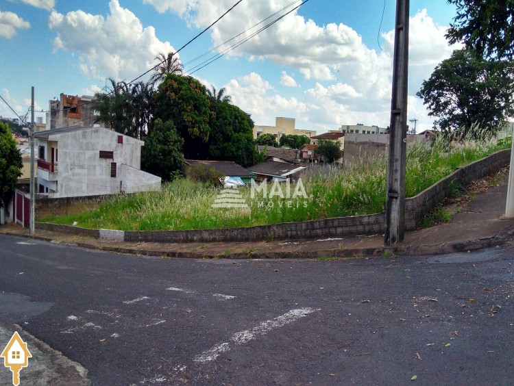 Fotos