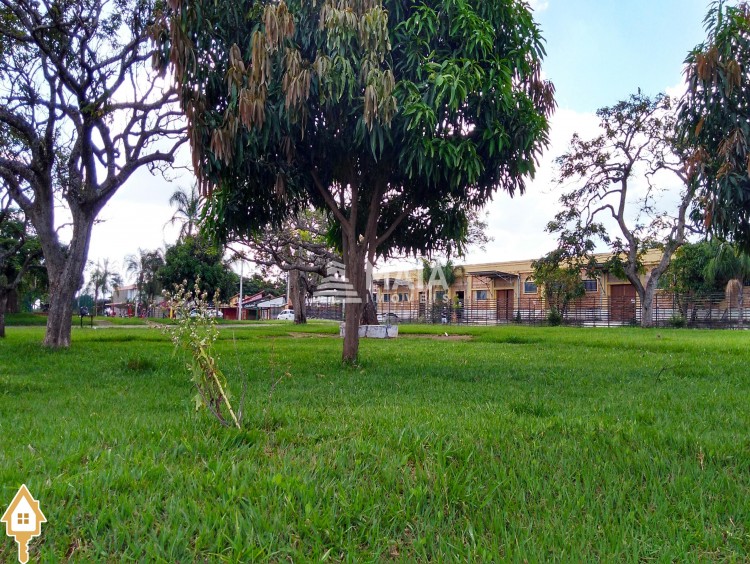 Fotos