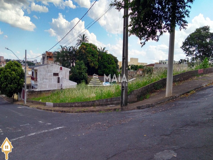 Fotos