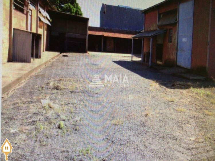 Fotos