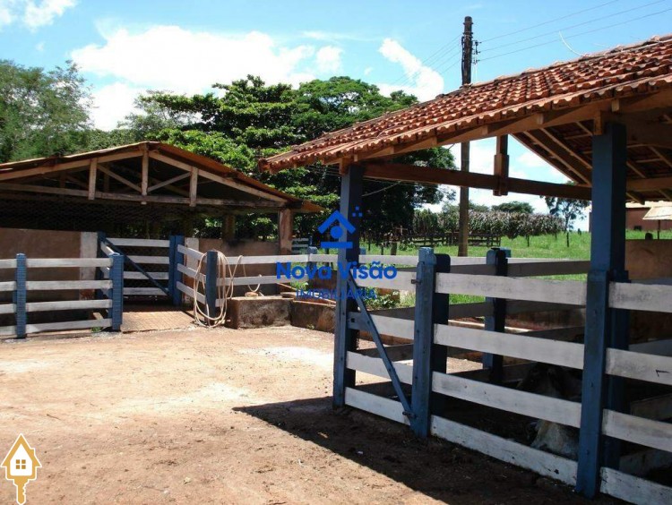 Fotos