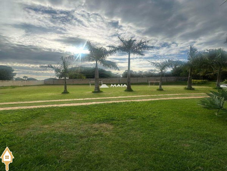 Fotos