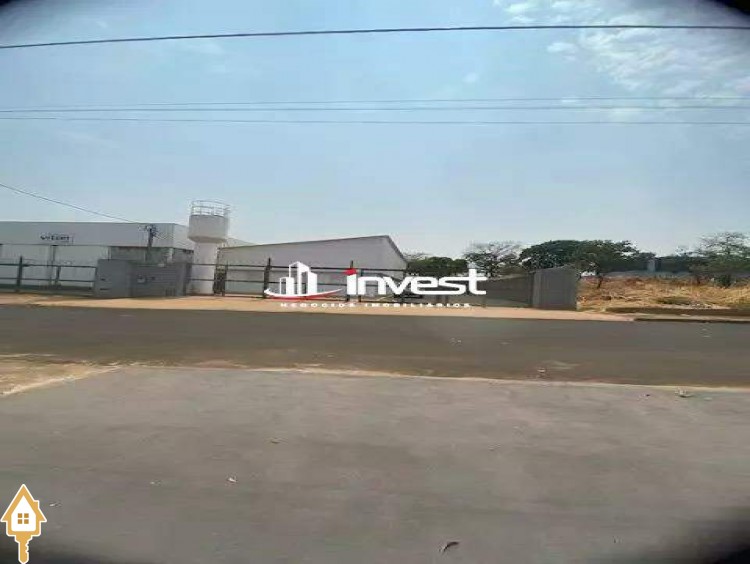 Fotos