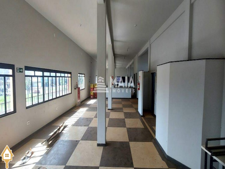 Fotos