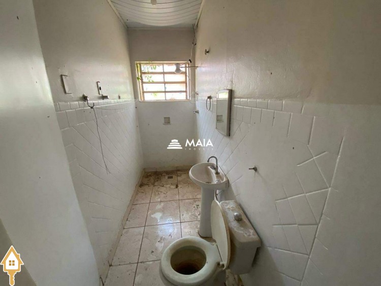 Fotos