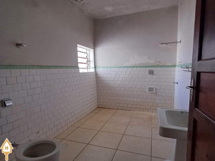 Fotos
