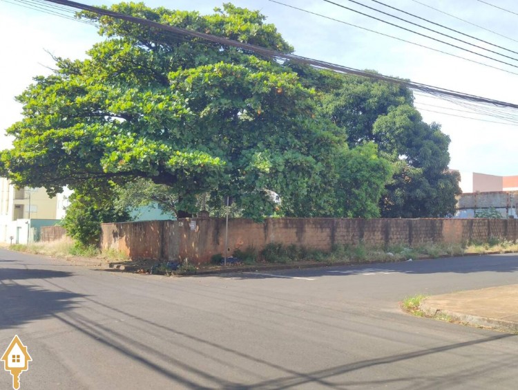 Fotos