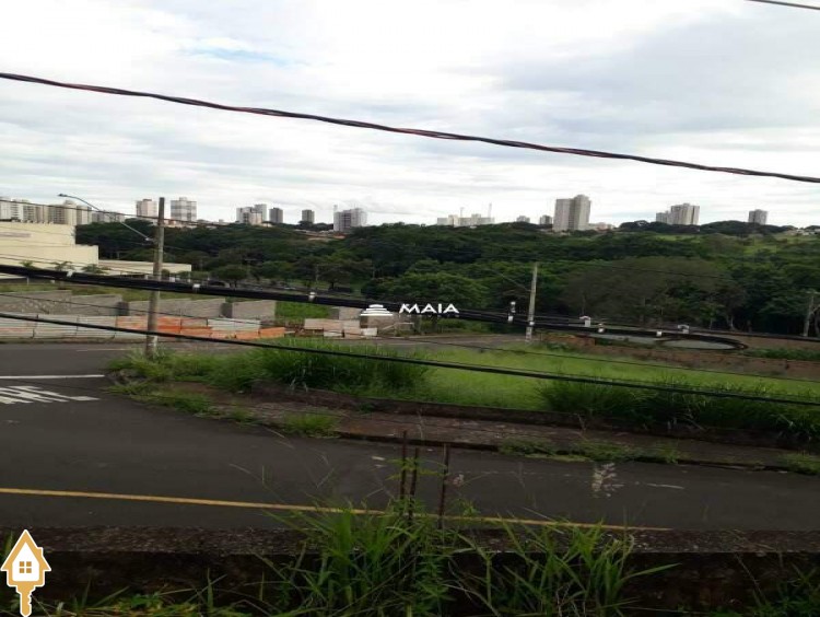 Fotos