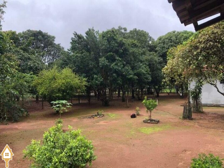 Fotos