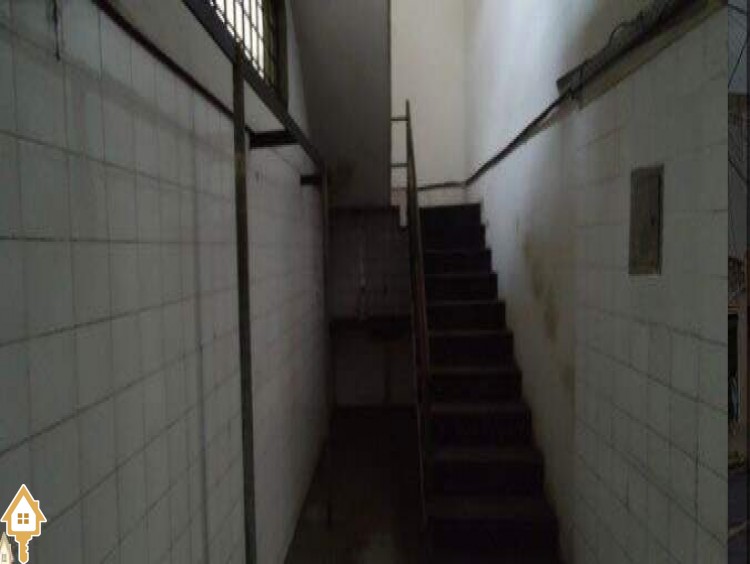 Fotos