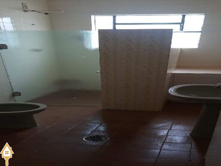 Fotos