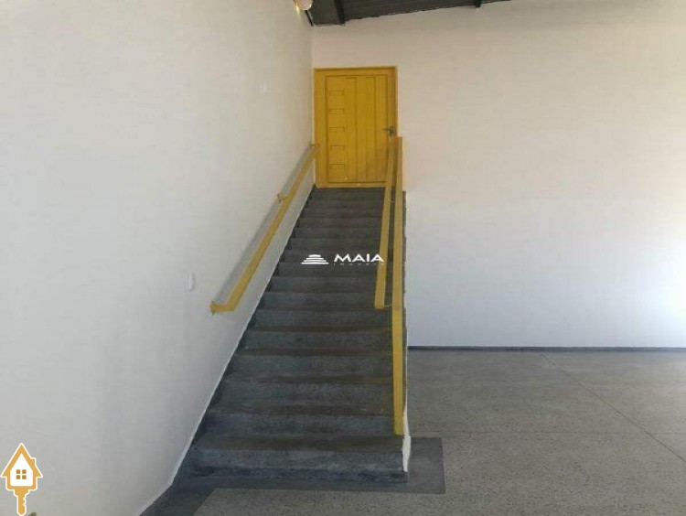 Fotos