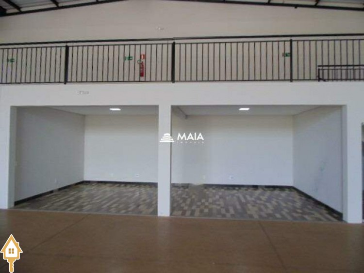 Fotos