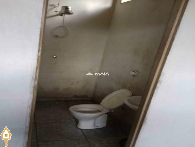Fotos