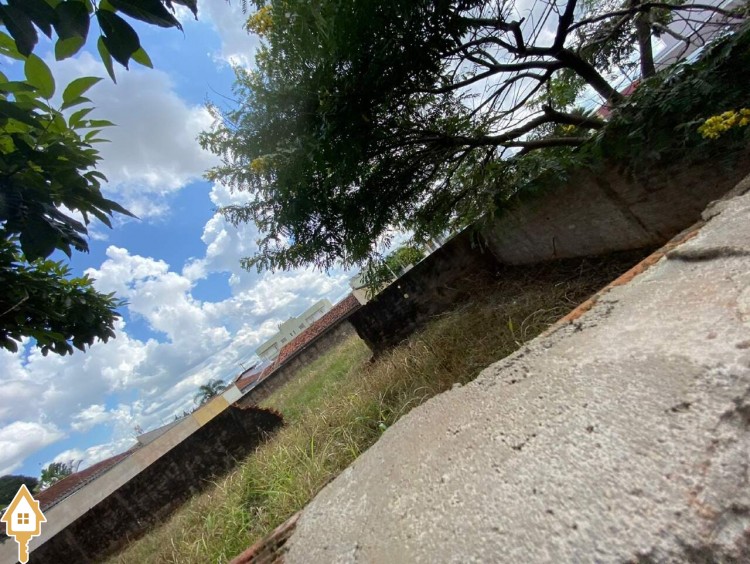 Fotos