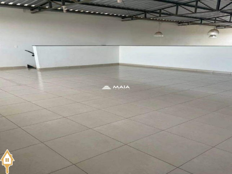 Fotos