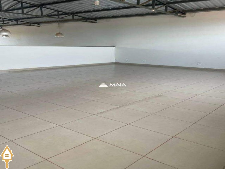 Fotos
