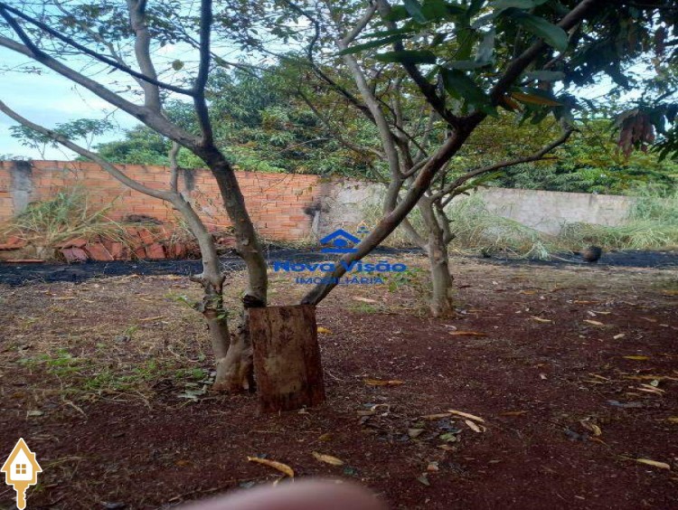 Fotos
