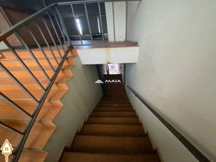 Fotos