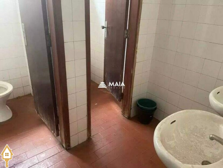 Fotos
